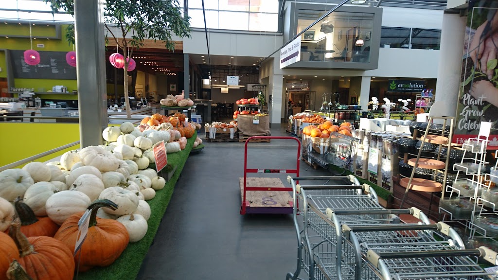 Holes Greenhouses | 101 Riel Dr, St. Albert, AB T8N 3X4, Canada | Phone: (780) 419-6800