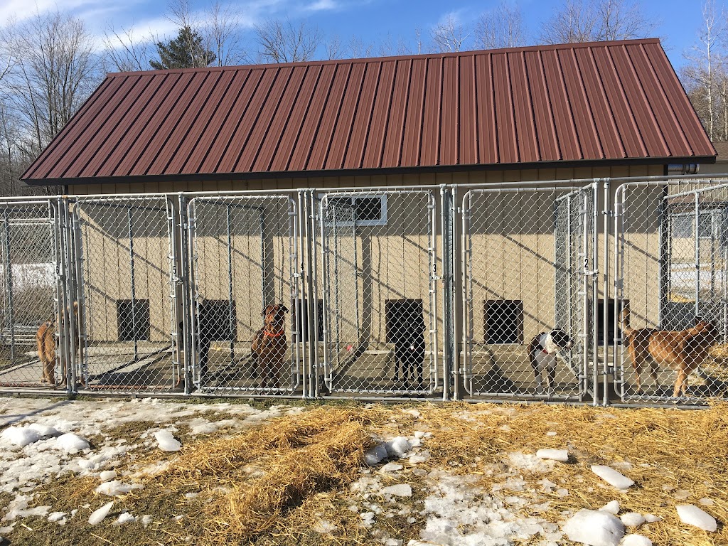Hometown Kennels And Grooming | 421 Oxford 2, Princeton, ON N0J 1V0, Canada | Phone: (519) 536-0954
