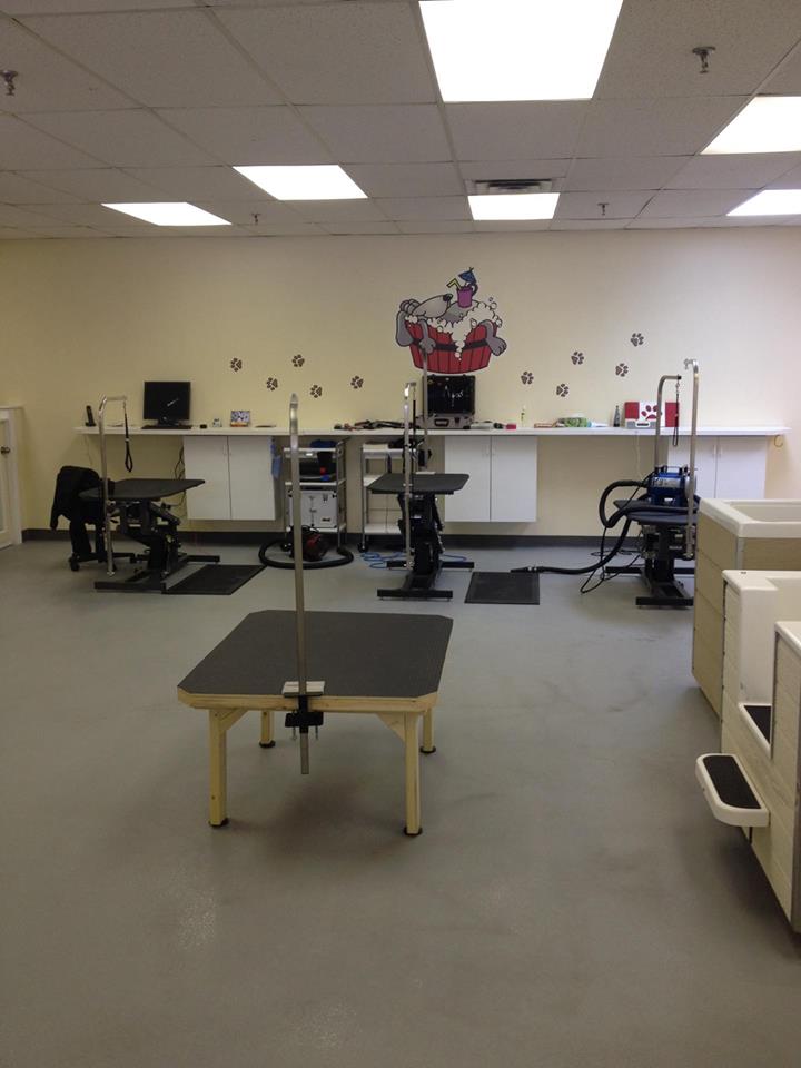 Paws in The Bath Dog Grooming | 1100 Gorham St #21, Newmarket, ON L3Y 8Y8, Canada | Phone: (905) 235-7227