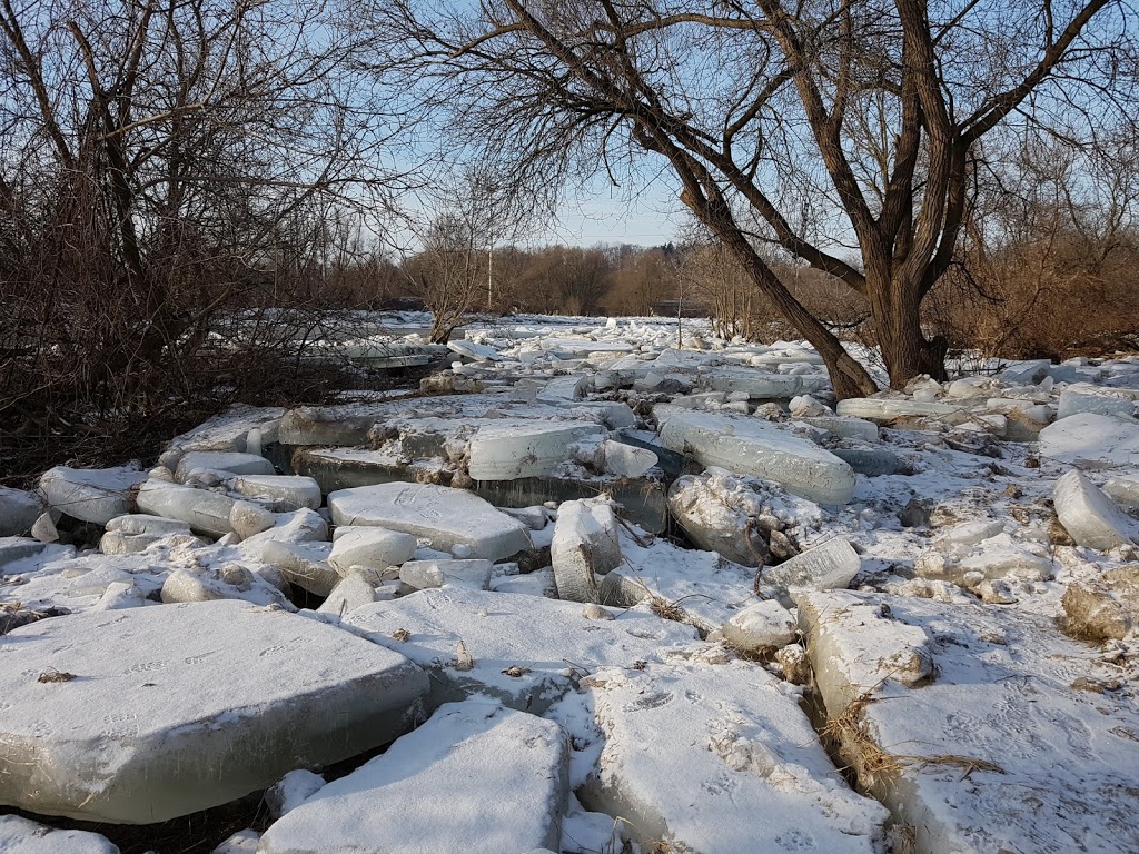 Schneider Park Parking Lot | 3623 King St E, Kitchener, ON N2A, Canada