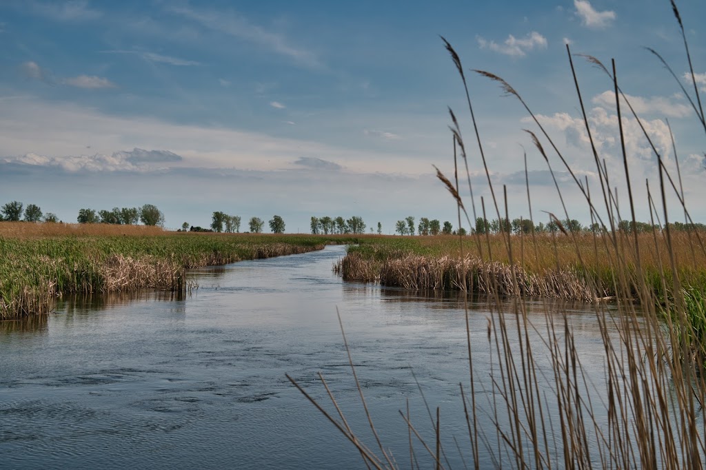 Long Point Getaway | 136 Erie Blvd, Port Rowan, ON N0E 1M0, Canada | Phone: (519) 586-7432