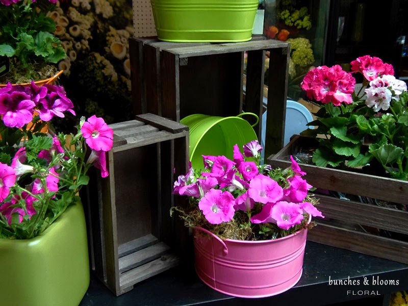 Bunches & Blooms Floral | 810 Quayside Dr #108, New Westminster, BC V3M 6B9, Canada | Phone: (604) 544-0996