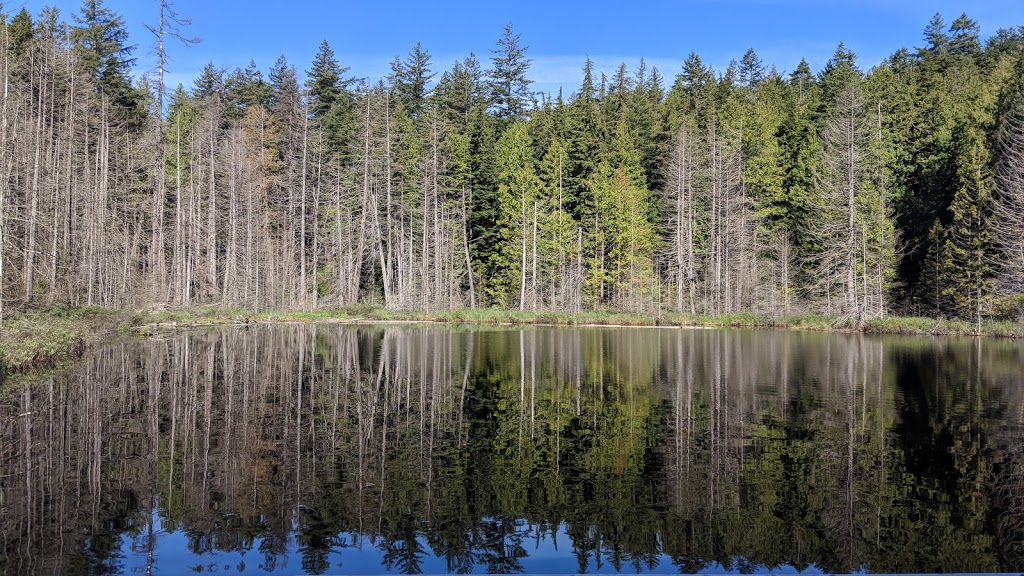 Whyte Lake Trail - Trailhead | 5647 Westport Rd, West Vancouver, BC V7W 1V2, Canada