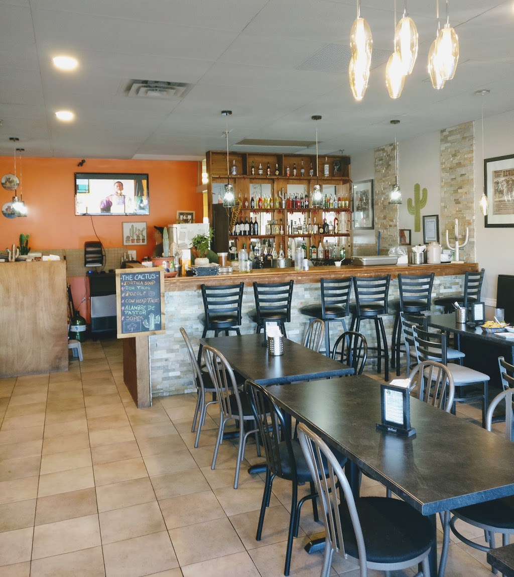 The Cactus Mexican Restaurant | 465 Phillip St, Waterloo, ON N2L 6C7, Canada | Phone: (519) 888-9599