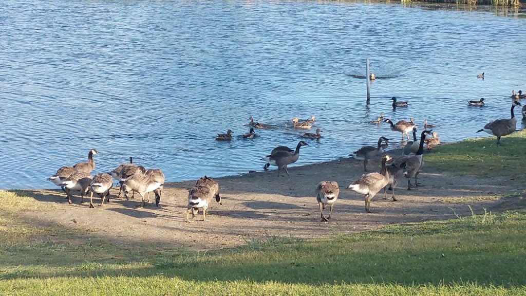 Lakewood Park, Saskatoon, Saskatchewan | 1535 McKercher Dr, Saskatoon, SK S7H 5L3, Canada