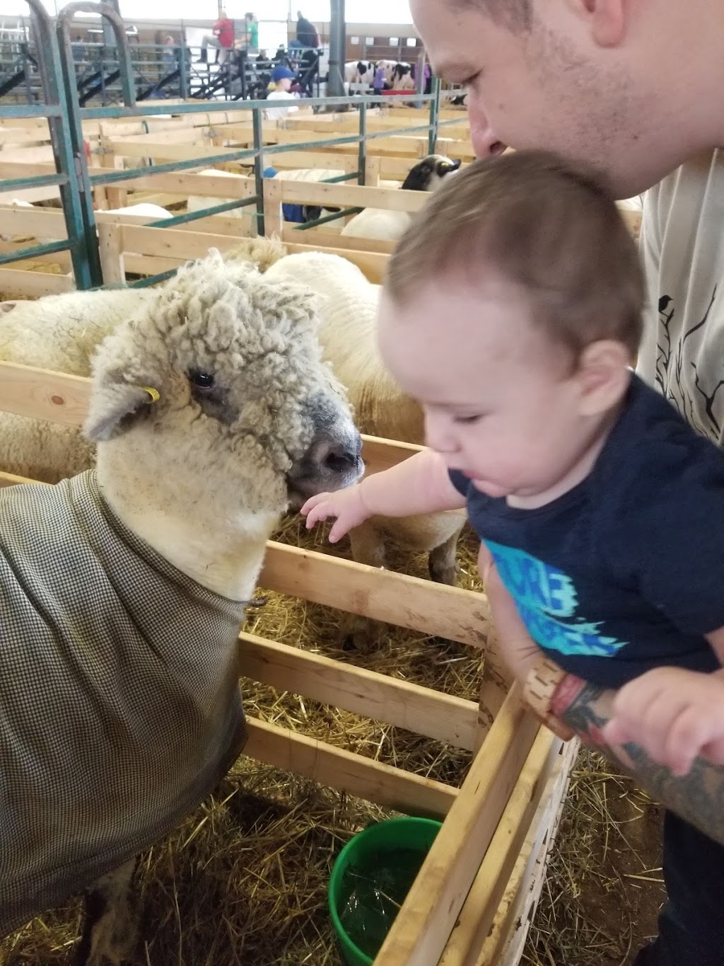 Ilderton Agricultural Society | 195 King St, Ilderton, ON N0M 2A0, Canada | Phone: (519) 666-2995