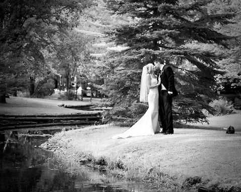 Paul Bennett Photography | 2408 ON-141, Utterson, ON P0B 1M0, Canada | Phone: (705) 769-1517