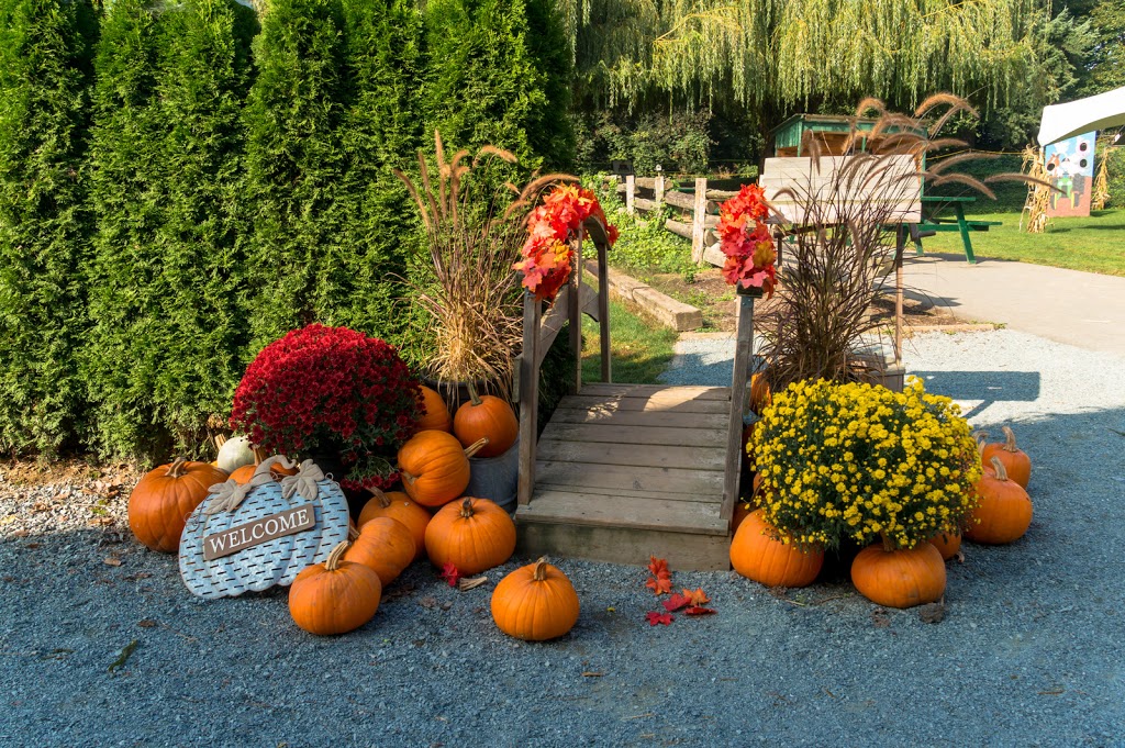 Willow View Farms | 288 McCallum Rd, Abbotsford, BC V2S 8A2, Canada | Phone: (604) 854-8710