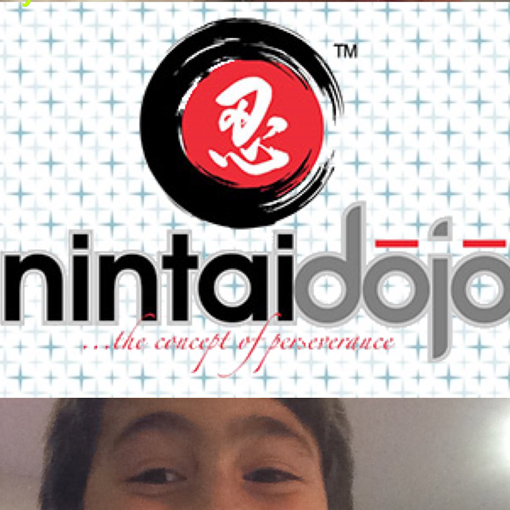 Nintai Dojo (Karate) | 73 Cougar Ridge Cl SW, Calgary, AB T3H 4E5, Canada | Phone: (403) 816-1195