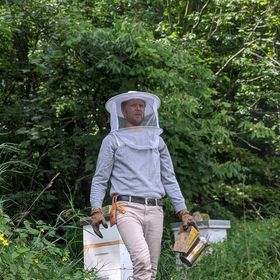 Treefall Bee Yards | 112326 Grey Road 3, Neustadt, ON N0G 2M0, Canada | Phone: (647) 390-2053