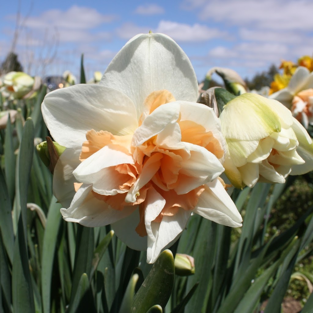 Hat Trick Farms | 18968 Fargo Rd, Blenheim, ON N0P 1A0, Canada | Phone: (519) 401-0414