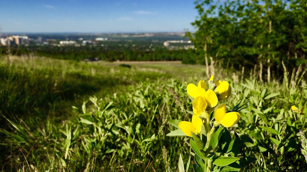 Nose Hill Park 14th street parking lot | 14 St NW, Calgary, AB T2K 5Y1, Canada