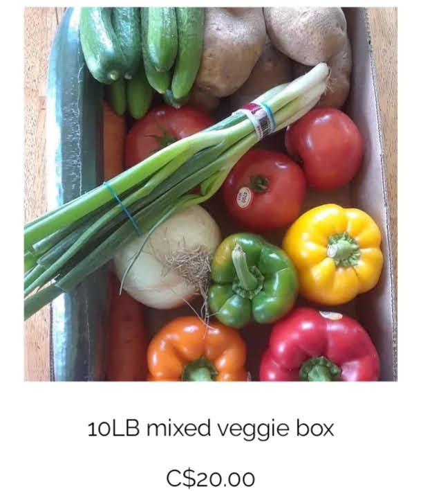 Country Sunrise Produce | 7725 Haggerty Rd, Bothwell, ON N0P 1C0, Canada | Phone: (226) 349-9355