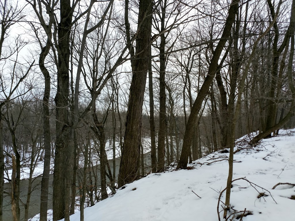 Cazenovia Creek Wildlife Management Area | West Seneca, NY 14224, USA