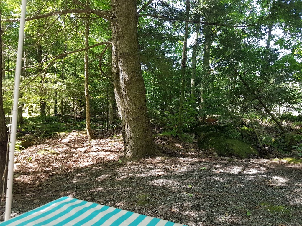 Camping St-Alphonse | 170 Rue du Camping, Saint-Alphonse-de-Granby, QC J0E 2A0, Canada | Phone: (450) 372-1440