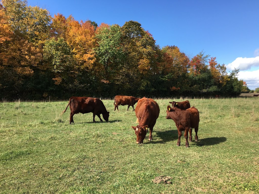 Glenrothes Farm | B1265, ON-48, Beaverton, ON L0K 1A0, Canada | Phone: (705) 426-9832