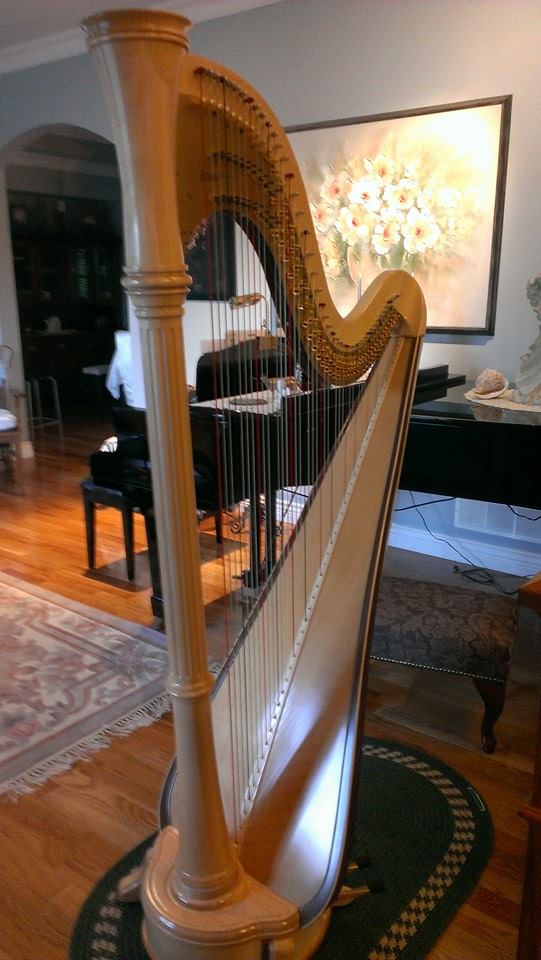Harpist For Hire | Langley Twp, BC V2Z 1V9, Canada | Phone: (778) 571-1232