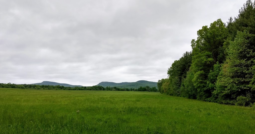 Silvio O. Conte National Fish and Wildlife Refuge - Nulhegan Bas | 5396 VT-105, Brunswick, VT 05905, USA | Phone: (802) 962-5240