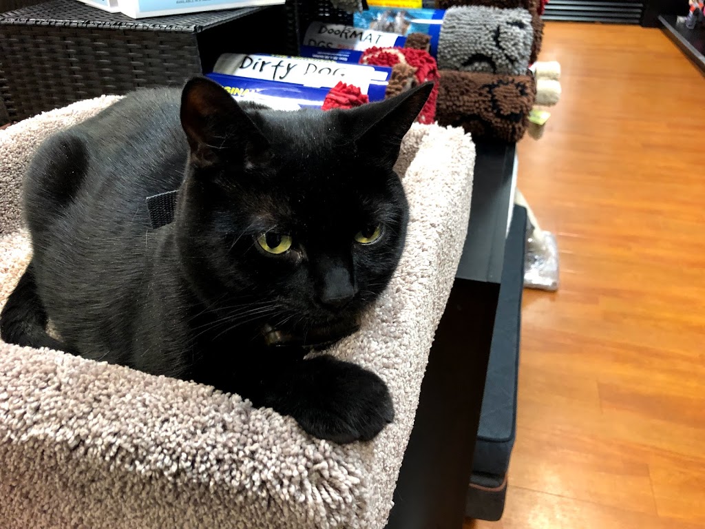 Bosleys by Pet Valu | 6466 176 St #400, Surrey, BC V3S 4G3, Canada | Phone: (604) 576-6377