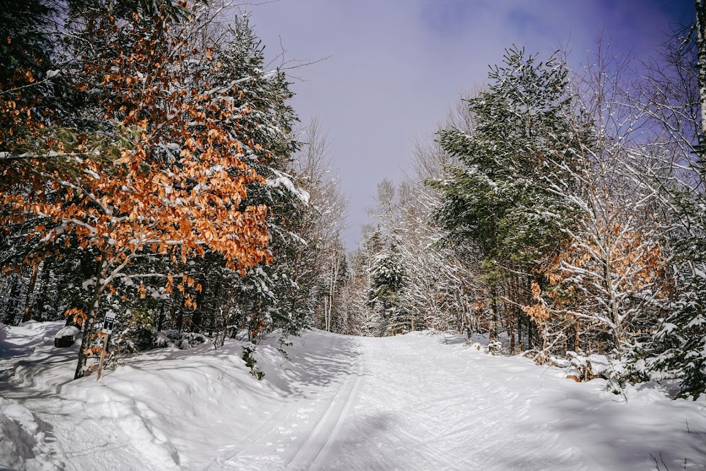 Mark Arendz Provincial Ski Park at Brookvale Nordic | 1800 PE-13, North Wiltshire, PE C0A 1Y0, Canada | Phone: (902) 658-7862
