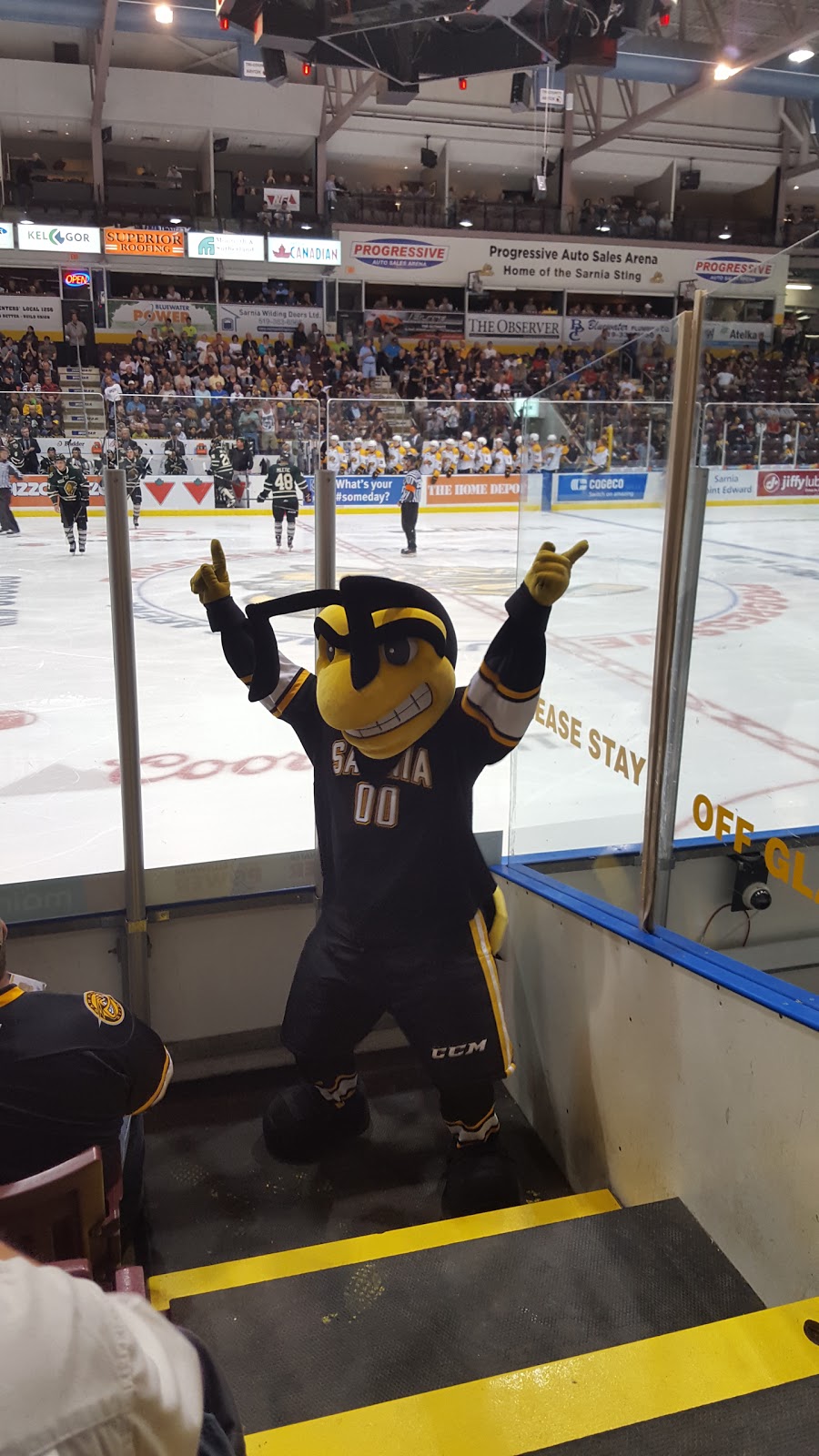 Sarnia Sting Hockey Club | 1455 London Rd, Sarnia, ON N7S 6K7, Canada | Phone: (519) 541-1717