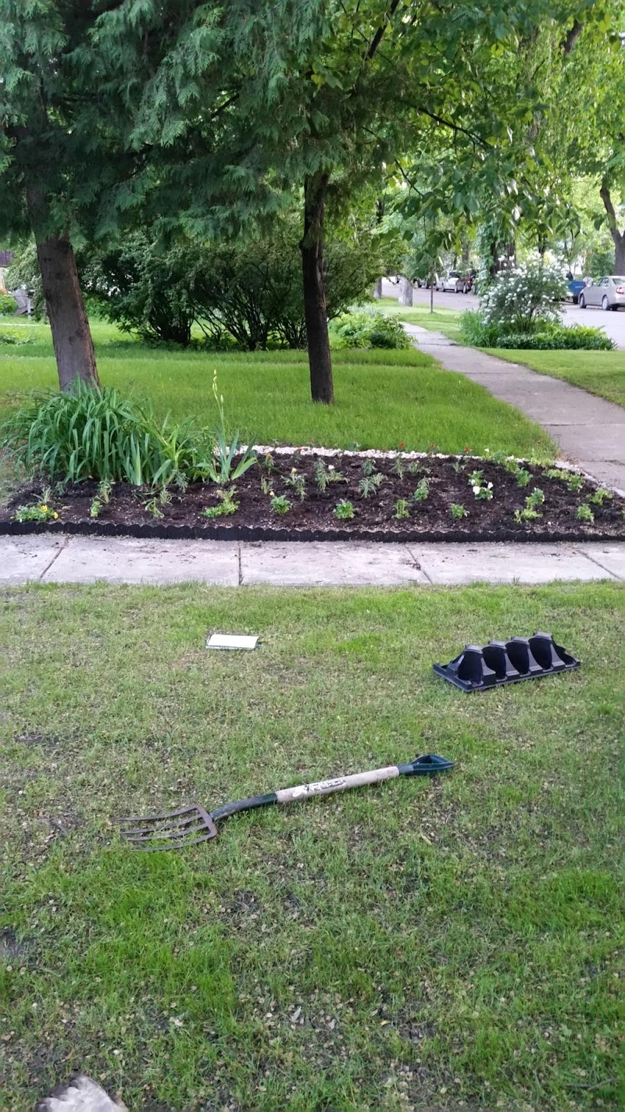 Bloom N Yard | 32 3 St, Starbuck, MB R0G 2P0, Canada | Phone: (204) 792-8645