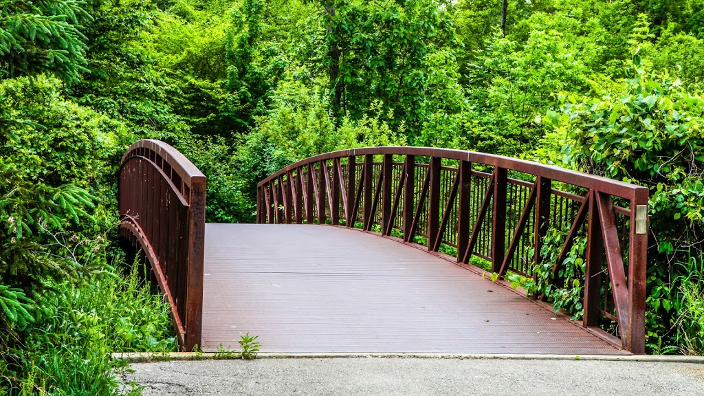 Orchard Woodlot Central | Burlington, ON L7L 6Z1, Canada