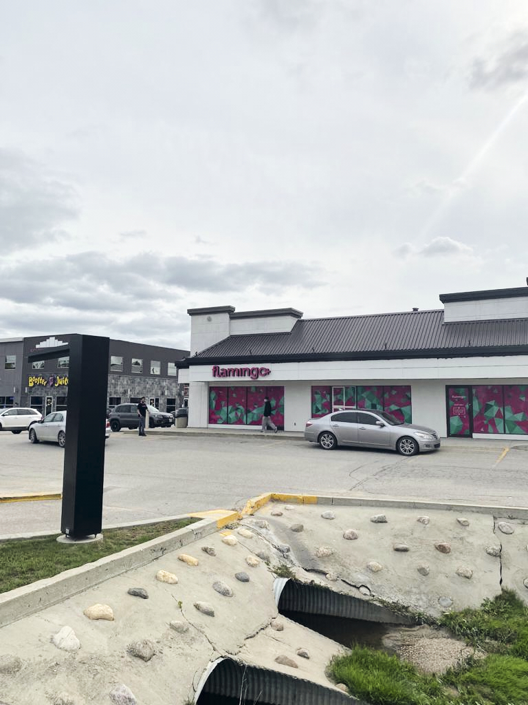 Flamingo Vape Shop | Steinbach | | 20 Brandt St Unit #2, Steinbach, MB R5G 1Y2, Canada | Phone: (204) 326-6328