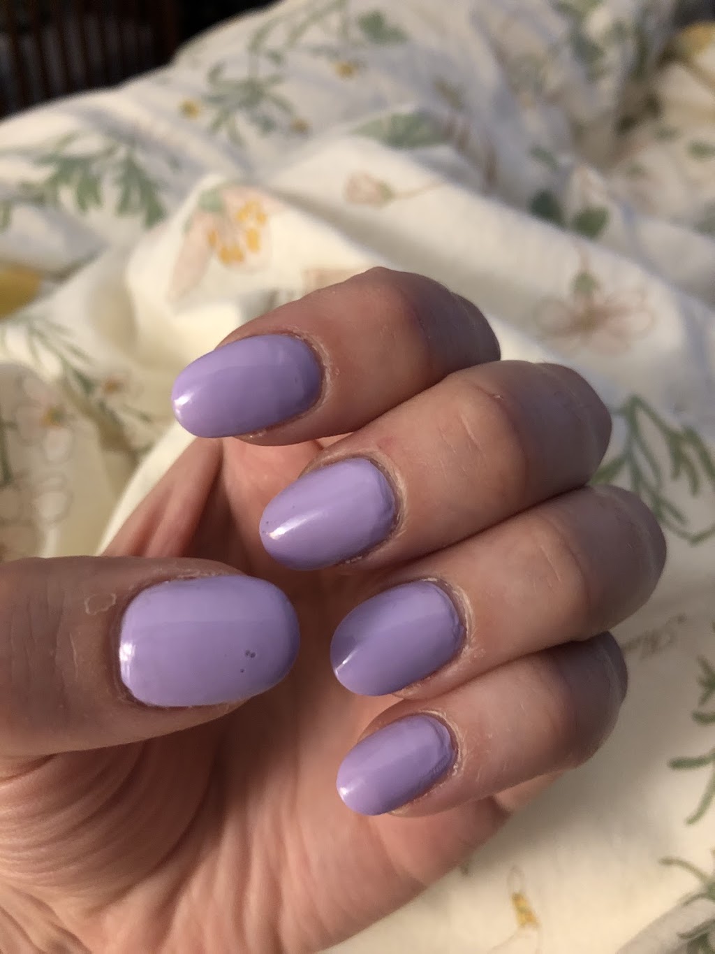 Regal Nails Salon and Spa | 10 Cambridge St, Collingwood, ON L9Y 0A1, Canada | Phone: (705) 446-0674