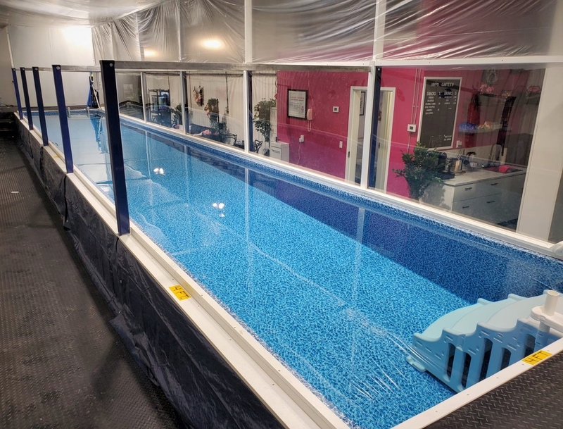Hippo in the Bathtub Inc. | 8 Cedarow Ct Unit 2, Stittsville, ON K2S 1V6, Canada | Phone: (613) 695-5804