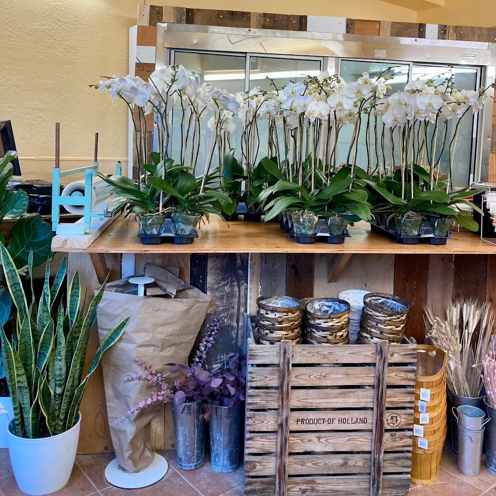 Edgewood Florist | 675 Rue Notre Dame, Lachine, QC H8S 2B3, Canada | Phone: (514) 484-2333