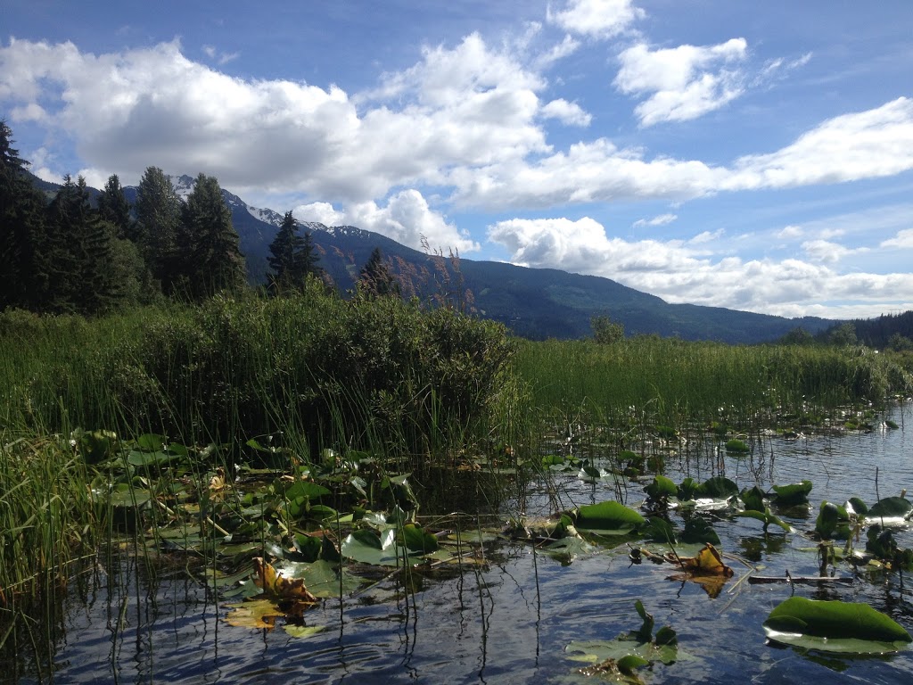 Blueberry Beach Park North | Whistler, BC V0N 0A0, Canada | Phone: (604) 764-6553