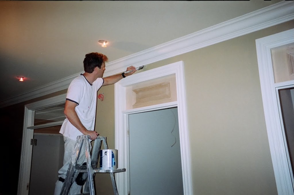 Peintre en bâtiment | 2780 Rue Morin, Saint-Hyacinthe, QC J2S 2H6, Canada | Phone: (514) 757-8885