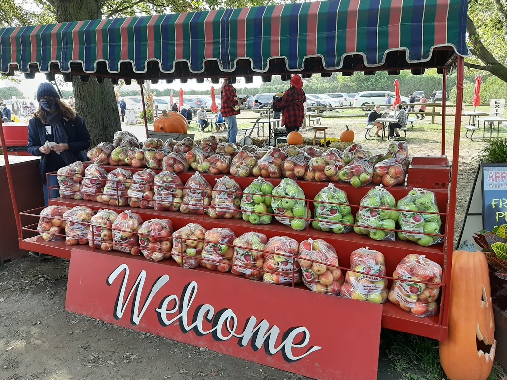 Thiessen Apple Orchard | 400 Talbot Rd E, Leamington, ON N8H 3V6, Canada | Phone: (519) 326-5282