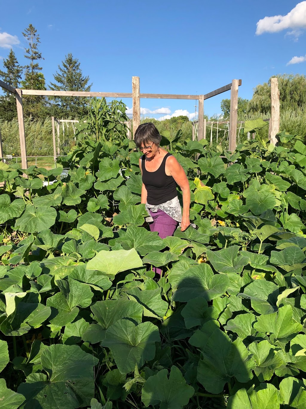 Plainfield Heritage Farm | 105 Shannon Rd, Plainfield, ON K0K 2V0, Canada | Phone: (613) 403-6050