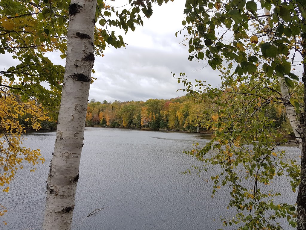 Chalet Riviere la lievre | 119 Chemin St Amour, Notre-Dame-du-Laus, QC J0X 2M0, Canada | Phone: (819) 454-2315