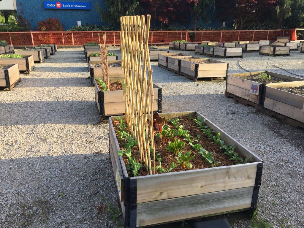 Vancouver Community Garden | 1008 W 41st Ave, Vancouver, BC V6M 1W8, Canada | Phone: (604) 873-7000