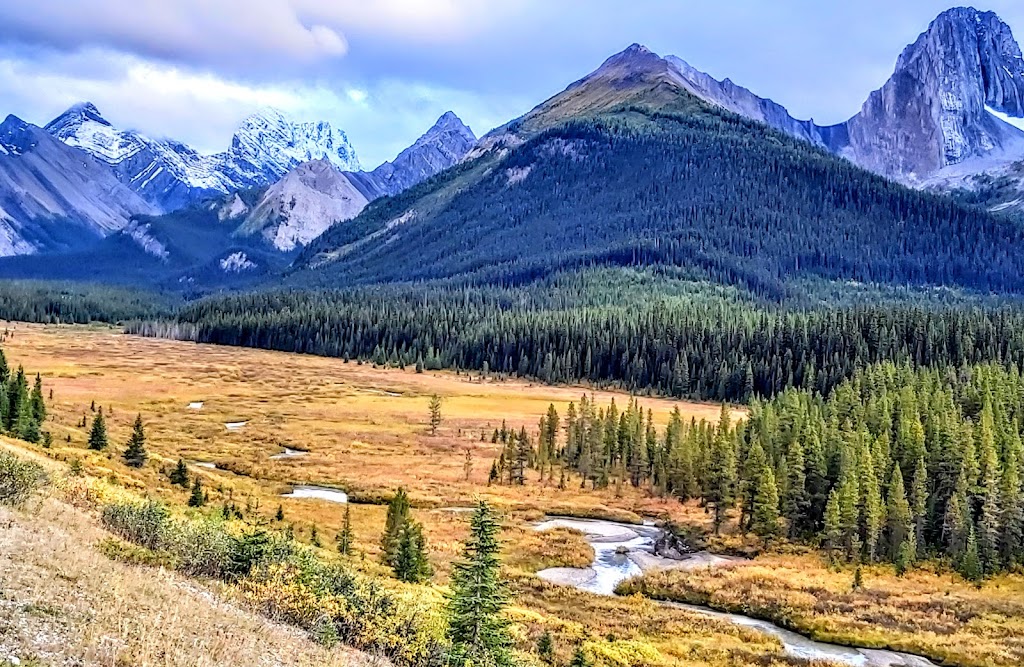Peter Lougheed Provincial Park | AB-40, Alberta T0L, Canada | Phone: (403) 678-0760