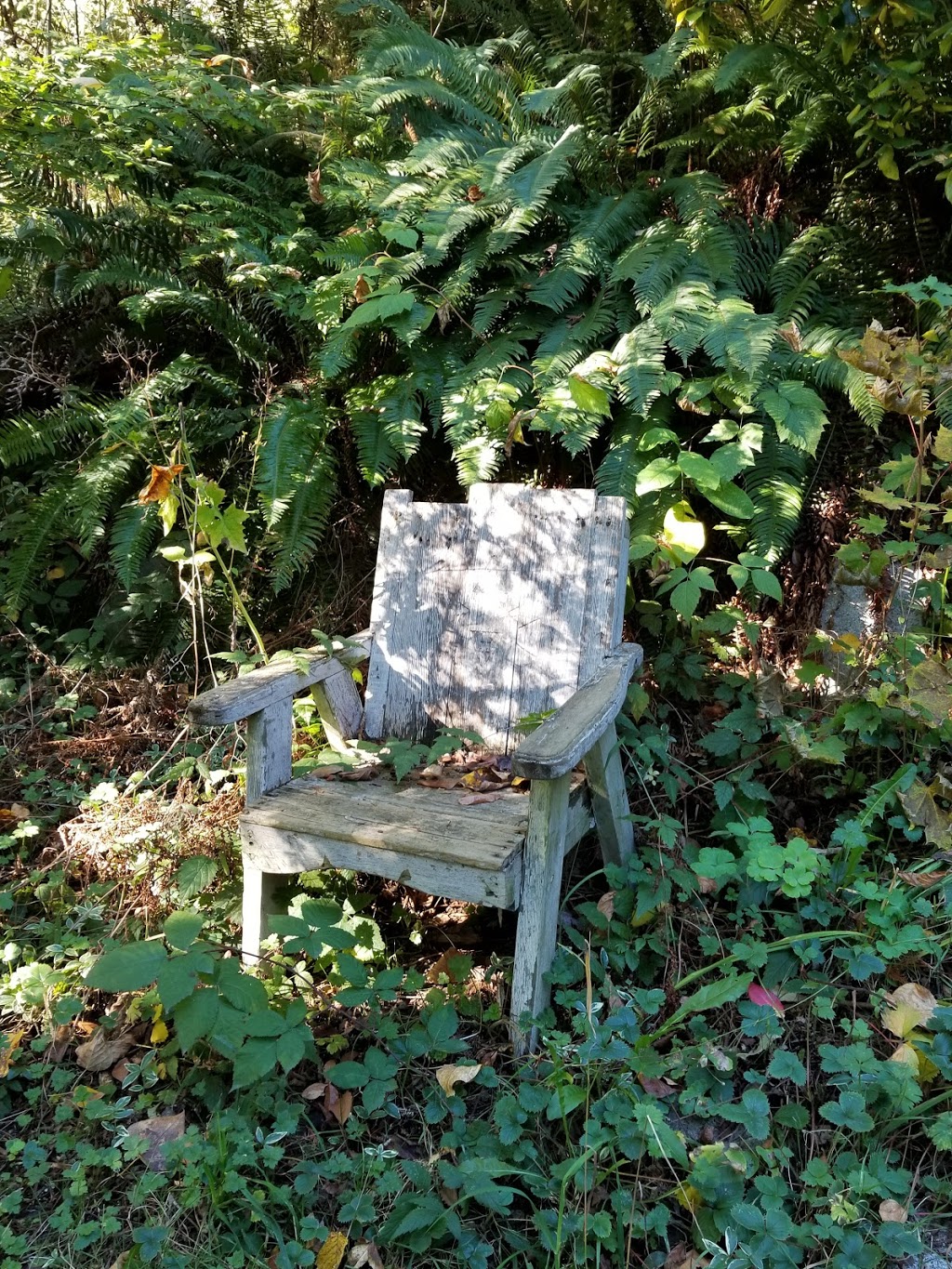 Finnies Garden | Kerria Dr, Coquitlam, BC V3C 4W8, Canada | Phone: (604) 290-9910