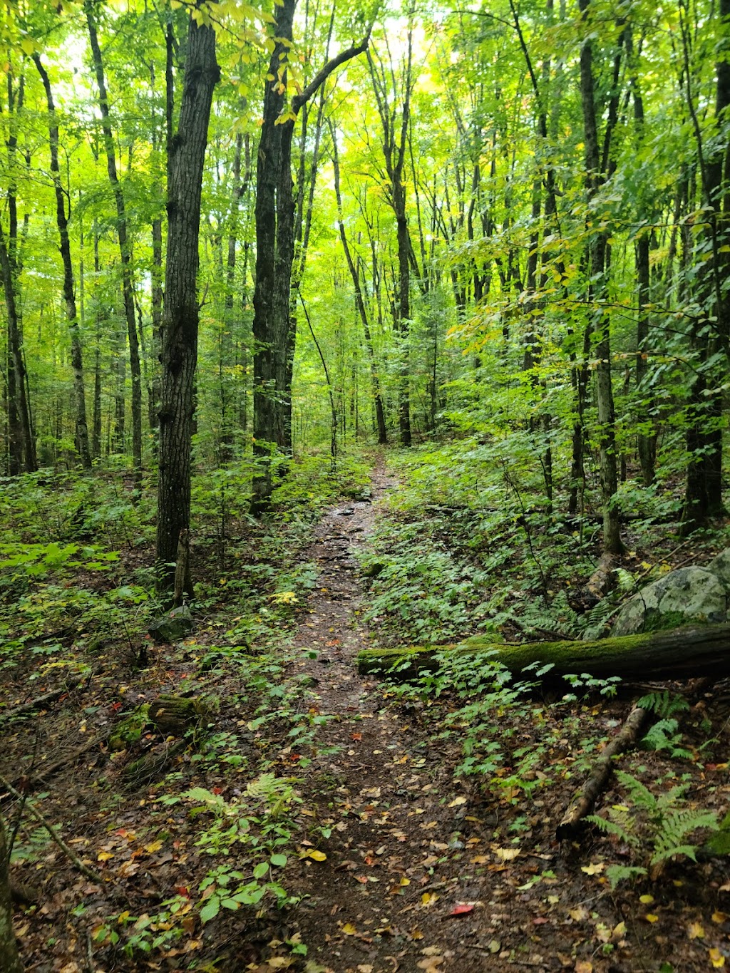 Lake Saint Peter Provincial Park | 356 Lake St. Peter Rd, Lake Saint Peter, ON K0L 2K0, Canada | Phone: (613) 338-5312
