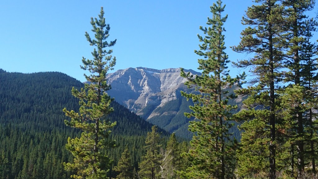 Sheep River Provincial Park - Kananaskis Country | Millarville, AB T0L 1K0, Canada | Phone: (403) 678-0760