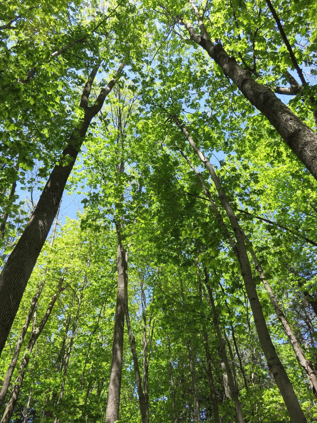 Altona Forest Entrance & Parking | 1883 Altona Rd, Pickering, ON L1V, Canada | Phone: (905) 839-9900