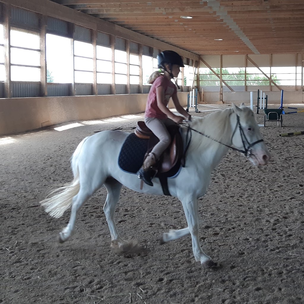 JL Equestrian Centre | 1110 Huron Rd, Petersburg, ON N0B 2H0, Canada | Phone: (226) 808-3518