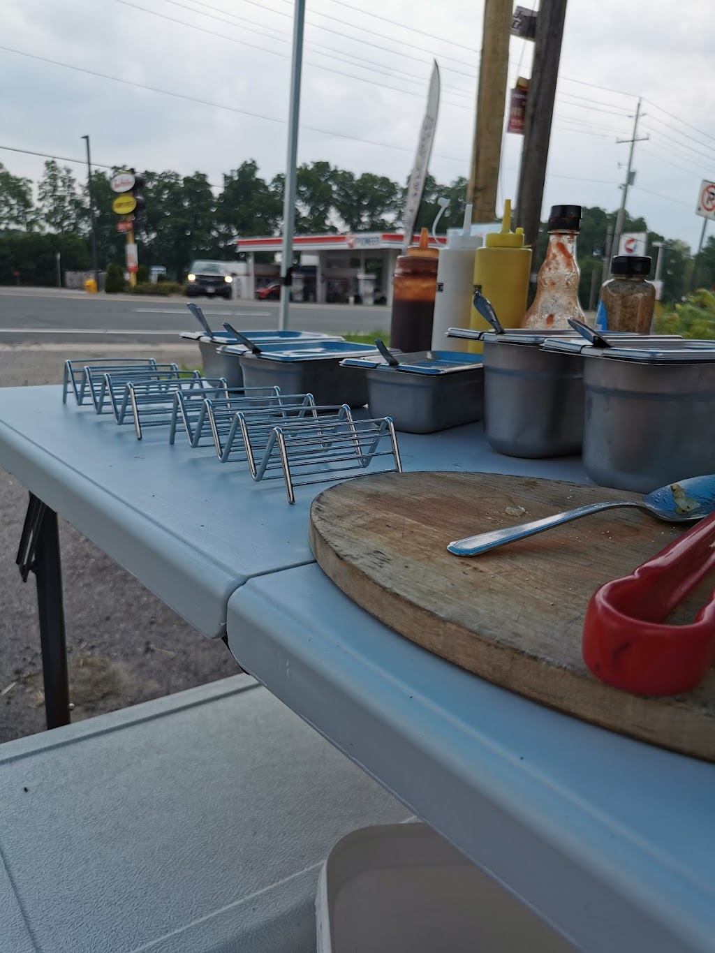 C Taylor Dog | 181 Brant Rd, Saint George, ON N0E 1N0, Canada | Phone: (416) 705-3130