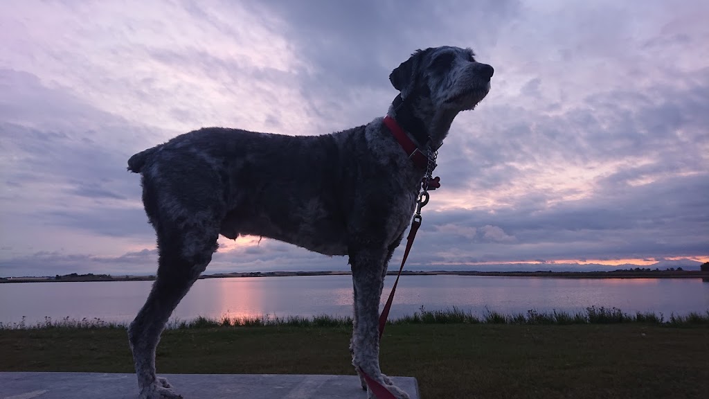 Fox Lake Campground | 31267 Range Road 145A 3 km west of, Hanna, AB T0J 1P0, Canada | Phone: (403) 854-4433