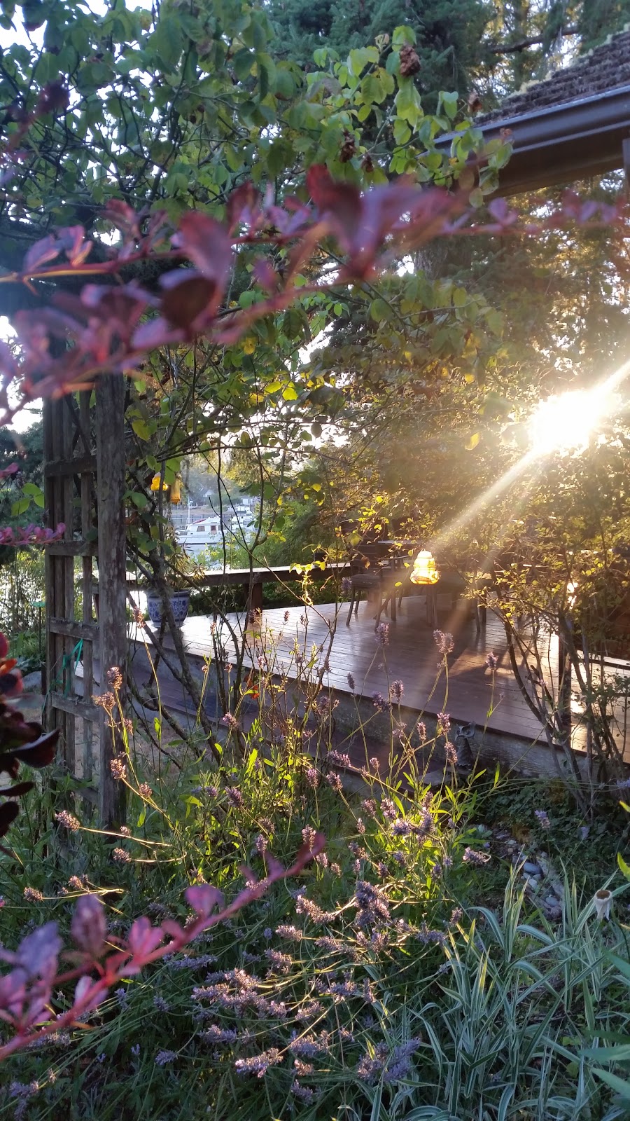 Longhouse Bed & Breakfast | 2187 Mitchell Bay Rd, Friday Harbor, WA 98250, USA | Phone: (360) 378-2568
