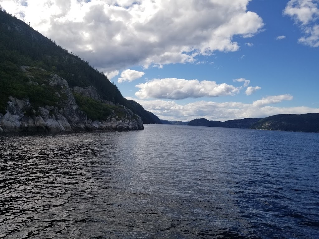 Saguenay-St-Lawrence Marine Park | 182 Rue de lÉglise, Tadoussac, QC G0T 2A0, Canada | Phone: (418) 235-4703