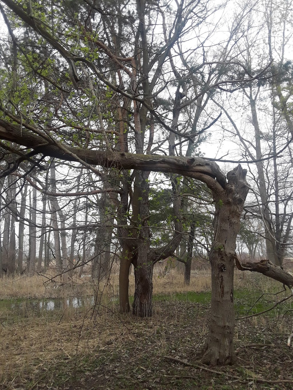 Lake St. Clair Nature Center | 31300 Metro Pkwy, Harrison Charter Township, MI 48045, USA | Phone: (586) 463-4581