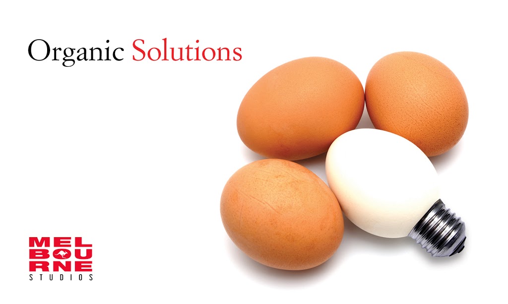 Website Design Woodstock | 451 Fairway Rd, Woodstock, ON N4T 0E1, Canada | Phone: (416) 277-7633