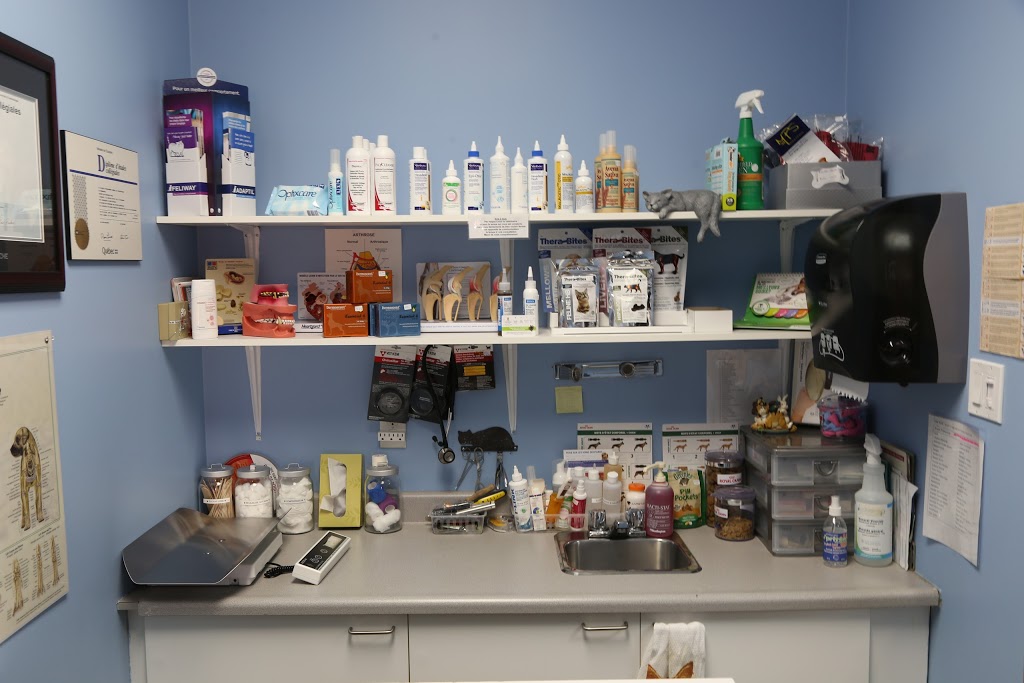 Hôpital Vétérinaire de Varennes | 81 Rue de la Rivière, Varennes, QC J3X 1P7, Canada | Phone: (450) 652-5252
